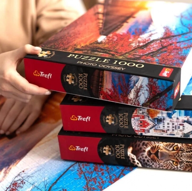 Puzzle 1000 pezzi - Panorama Lago di Bled - TREFL