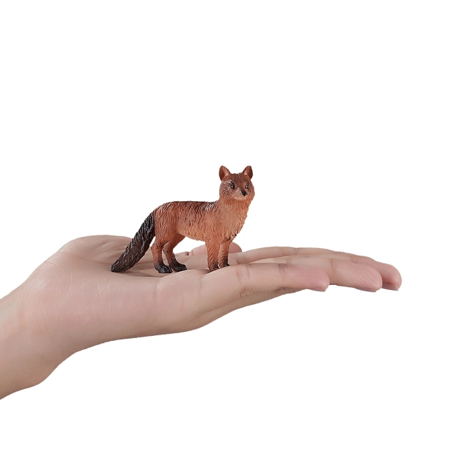 Dimensioni compatte per la mano dei bambini
