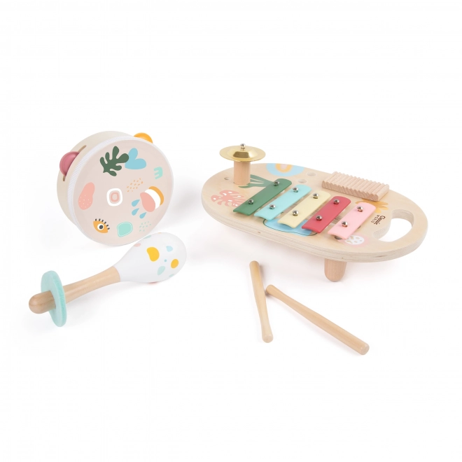 Set strumenti musicali per bambini Classic World