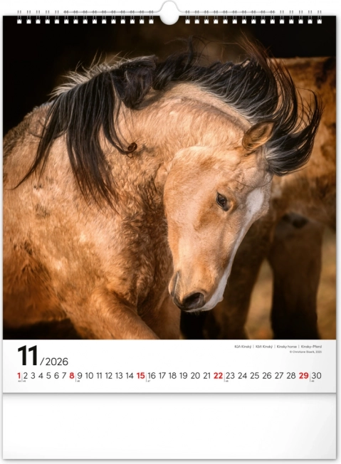 Calendario da parete cavalli 2026