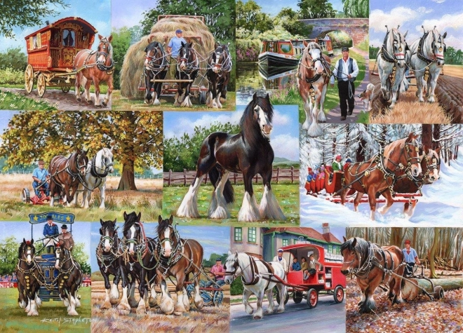 Puzzle 1000 pezzi Tahouni di House of Puzzles