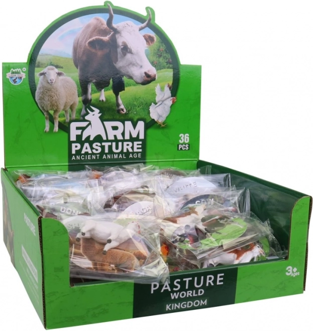 Animali domestici in scatola display