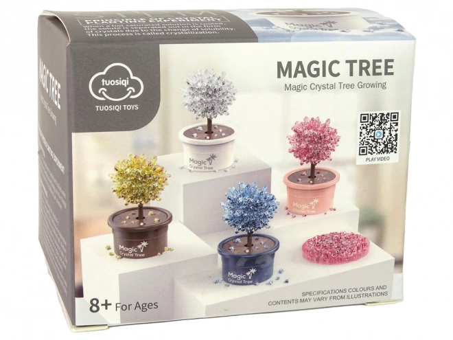 Set per la crescita di cristalli Magico Albero d'Argento