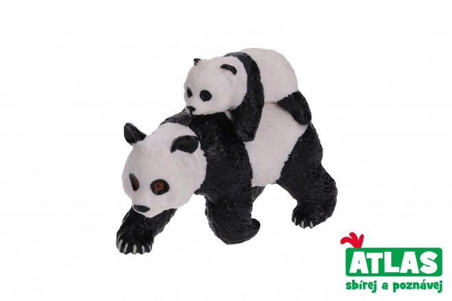 Panda Con Cucciolo