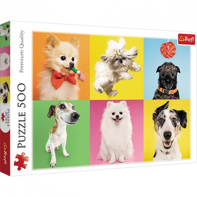 Puzzle Cani Felici 500 Pezzi