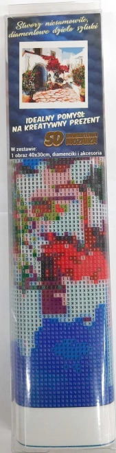 Pittura di diamante Stradina fiorita 30x40 cm