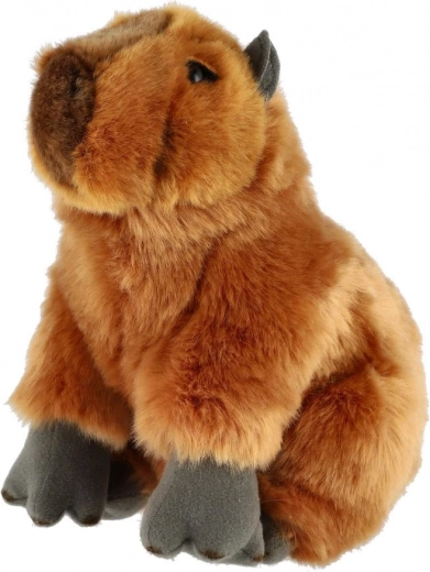 Aspetto realistico che conquista