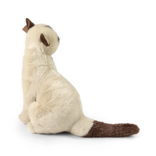 Gatto Siamese Peluche 30 cm ECO-FRIENDLY