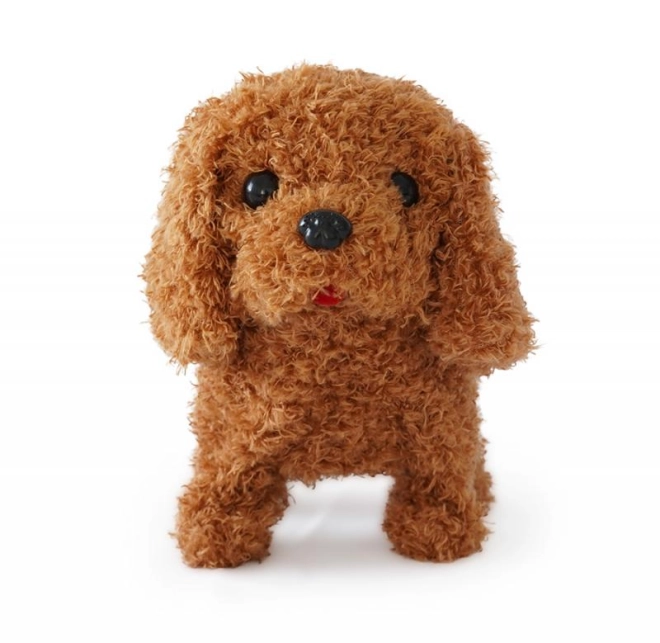 Adorabile compagno di gioco