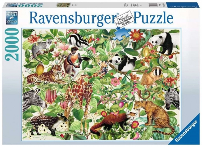 Puzzle 2D 2000 pezzi Giungla