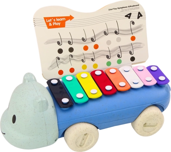 Apprendimento musicale con 8 lamelle colorate