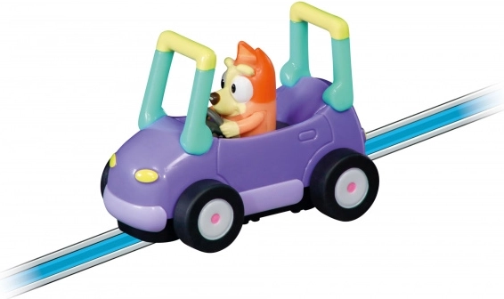 Veicolo compatibile con la pista