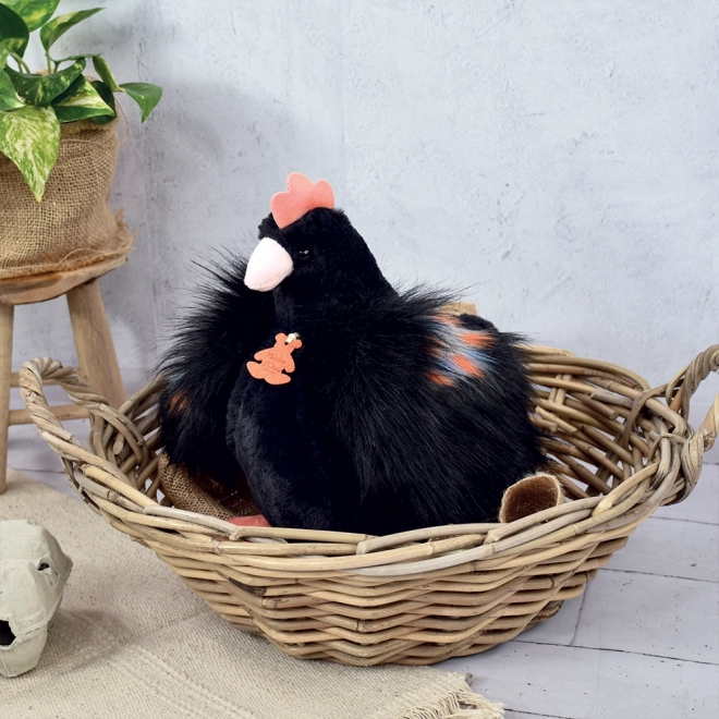 Peluche Gallina Nera Histoire d'Ours