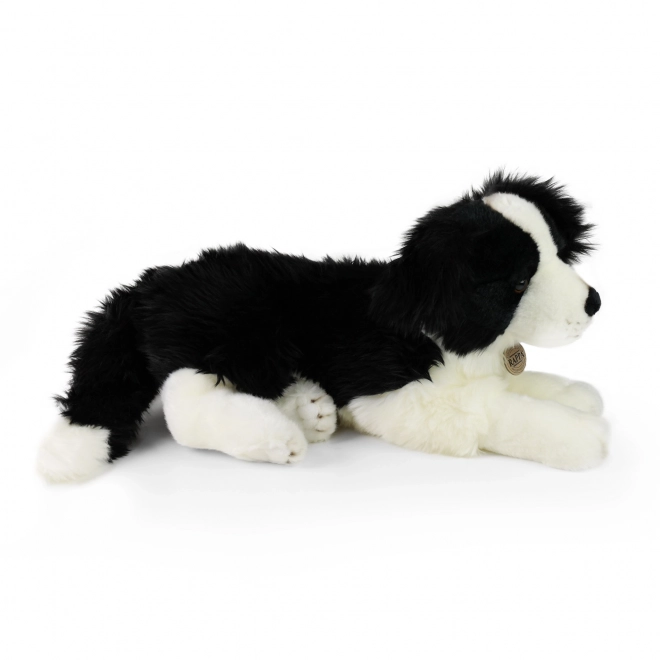 Cane di peluche Border Collie eco-friendly 45 cm