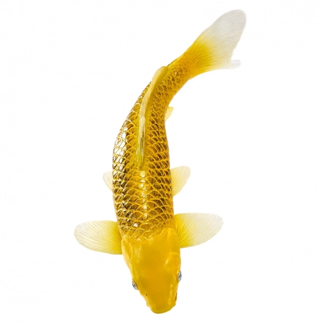 Mojo carpa koi Matsuba
