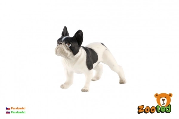 Bulldog Francese in Plastica 6cm