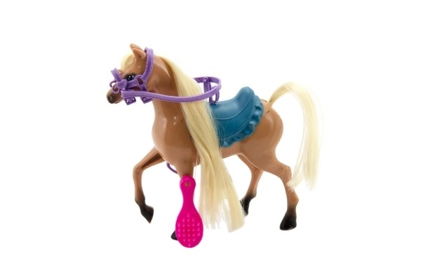 Cavallo da Toelettatura in Plastica con Accessori