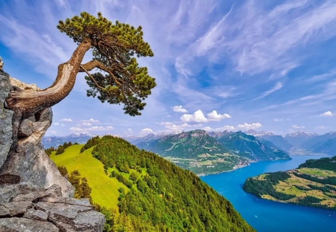 Puzzle Lago Uri Svizzera 1000 pezzi