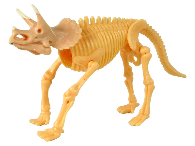 Scheletro di dinosauro da assemblare