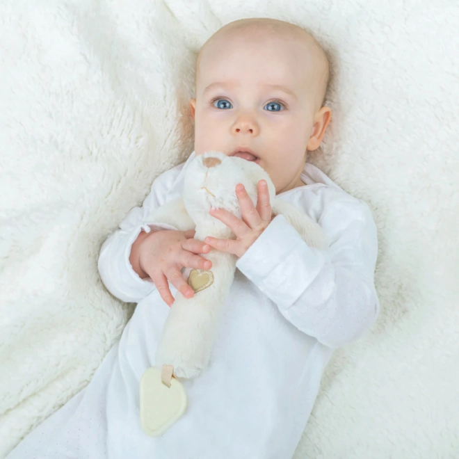 Morbido peluche e struttura leggera per le piccole manine