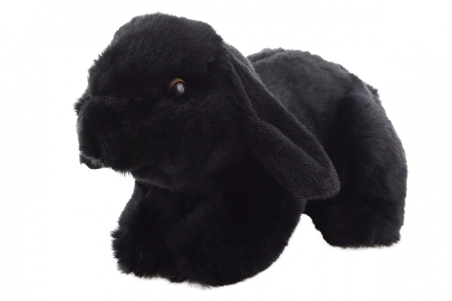 Coniglio di peluche Eco-Friendly 22 cm