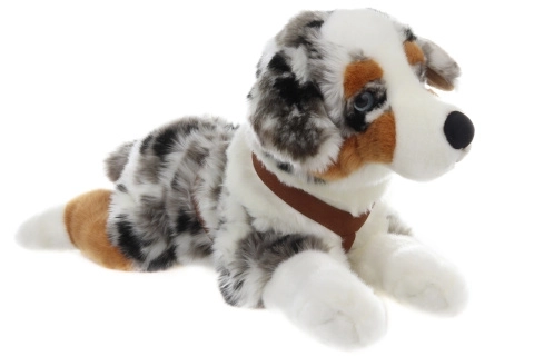 Peluche Cane Pastore Australiano 57 cm