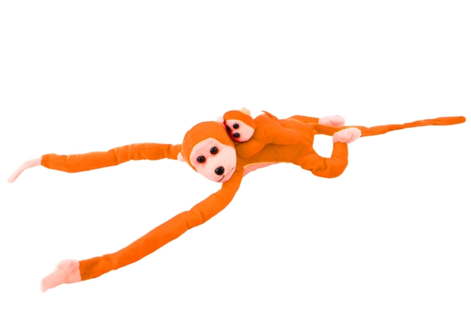 Connessione Pratica con Velcro
