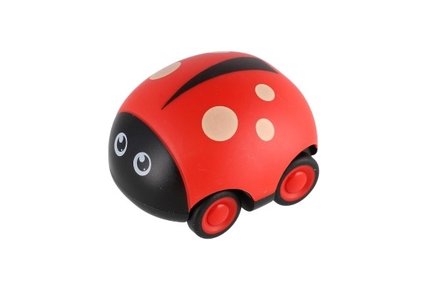Coccinella