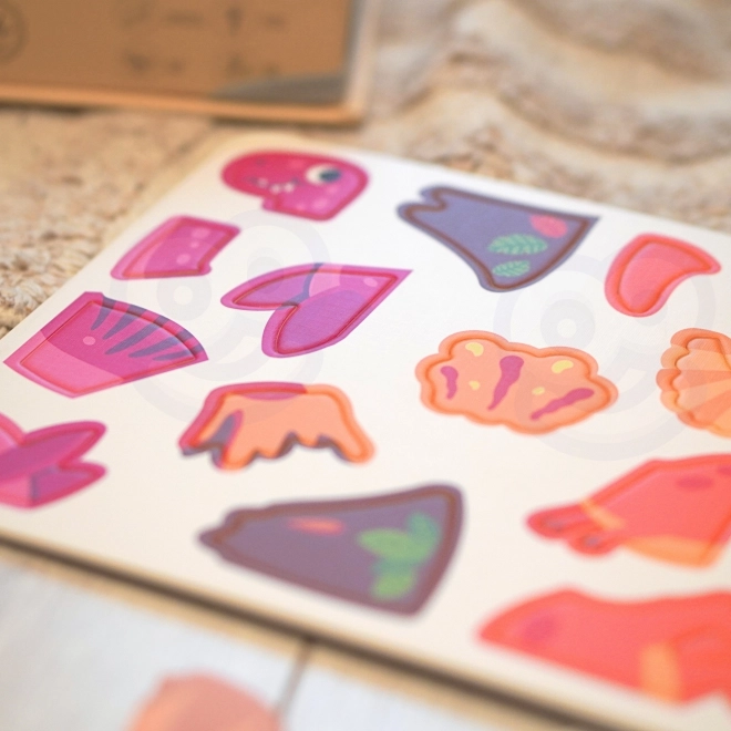 Puzzle magnetico dinosauri di Tooky Toy