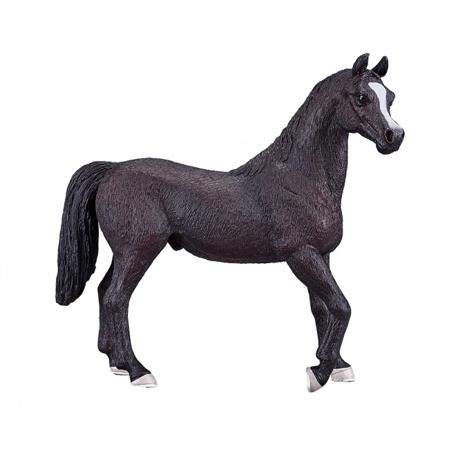 Cavallo arabo Mojo nero