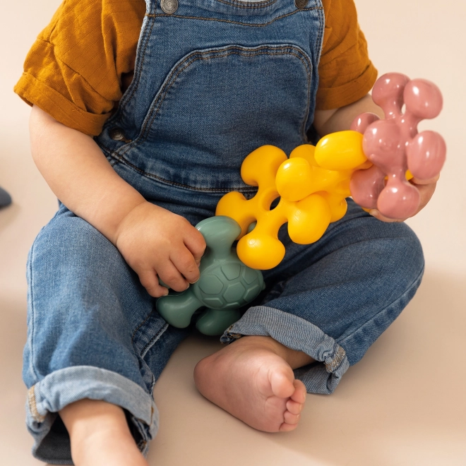 Giocattolo Educativo Corallo Little Smoby
