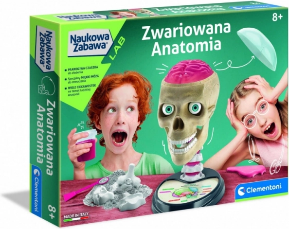 Anatomia folle set educativo