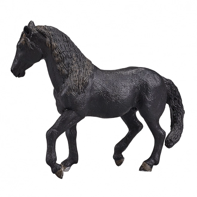 Cavallo Andaluso Nero Mojo