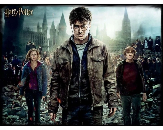 Puzzle 3D Harry Potter con Harry, Hermione e Ron XL