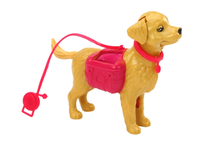 Cagnolino al guinzaglio per giochi di passeggiata