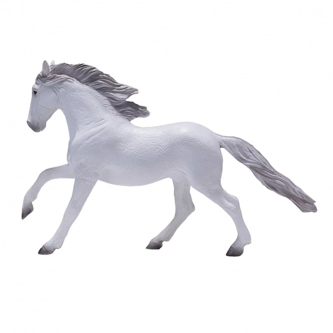 Cavallo Lusitano Bianco Mojo