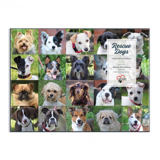 Puzzle Galison Cani dal Rifugio 1000 Pezzi