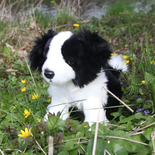 Cane Border Collie di Peluche Seduto 30 cm Eco-Friendly