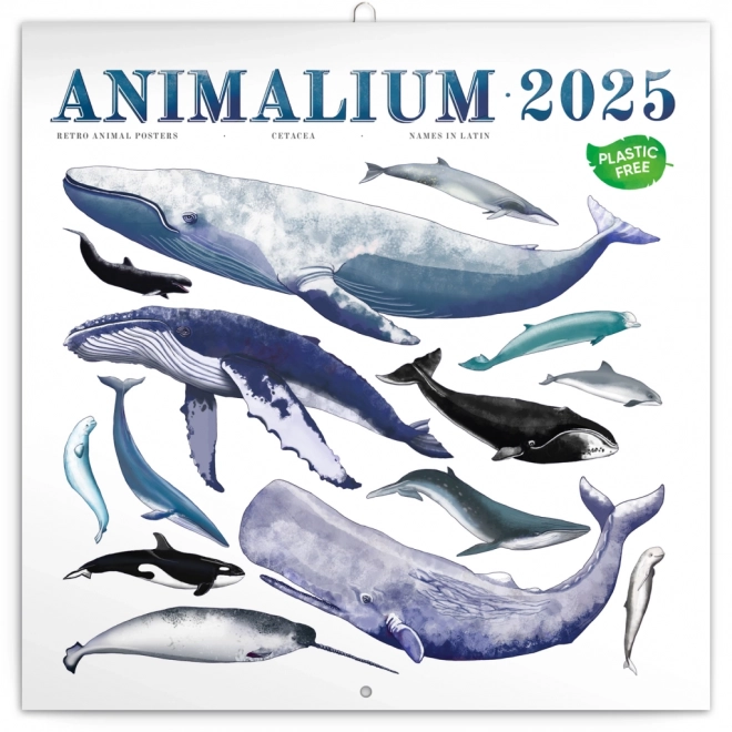 Calendario Notique Animalium 2025