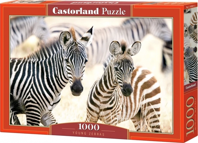 Puzzle 1000 pezzi Zebre Giovani