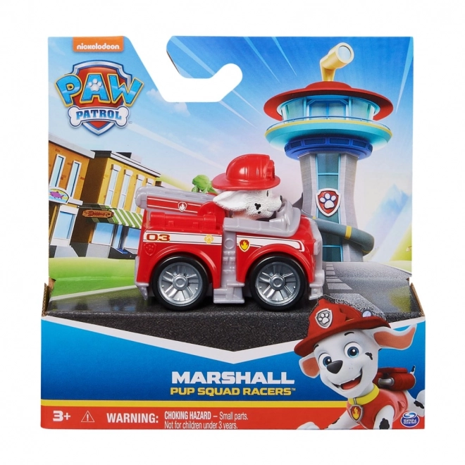 Mini veicoli Paw Patrol con personaggio