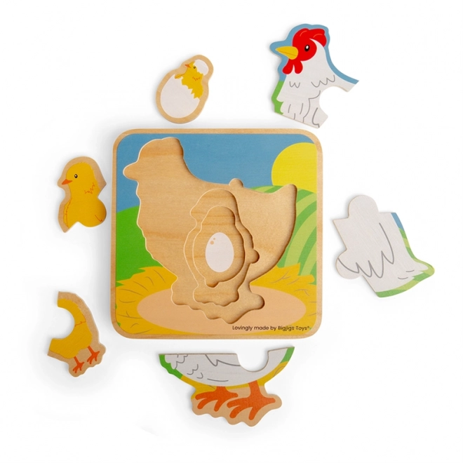 Puzzle Ciclo di Vita della Gallina Bigjigs Toys