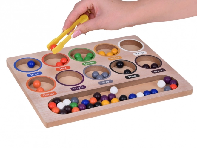 Gioco Montessori con Perline Colorate e Vassoio