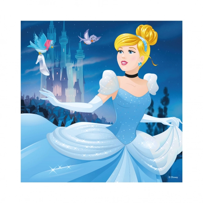 Giochi di puzzle Veselé Princezny 3x55