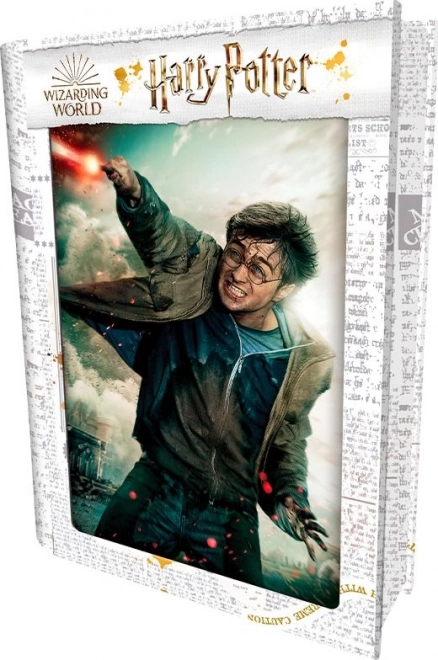 Puzzle 3D Harry Potter: Harry