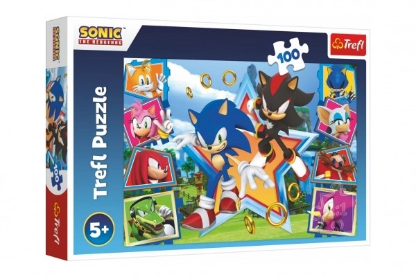 Puzzle 100 pezzi Scopri Sonic