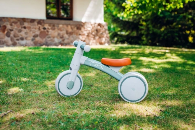 Bicicletta senza pedali rosa MoMi Tedi