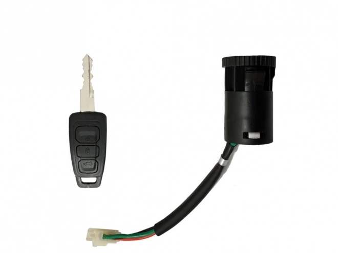 Scatola di accensione per auto elettrica Ford Ranger