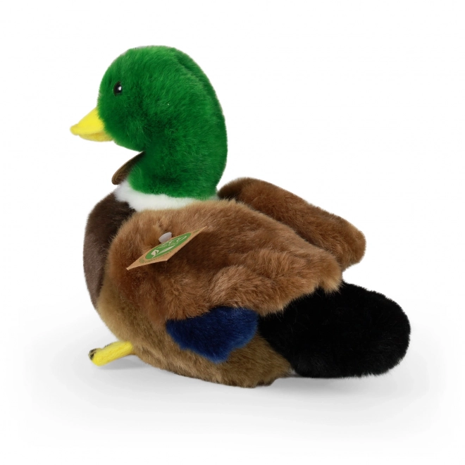 Anatra di peluche eco-friendly 20 cm