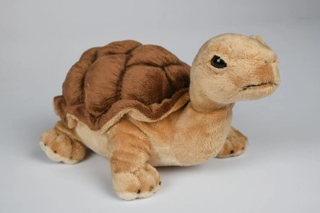 Peluches Tartaruga 32 cm